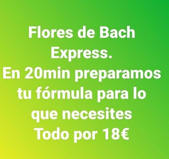Flores de Bach Express